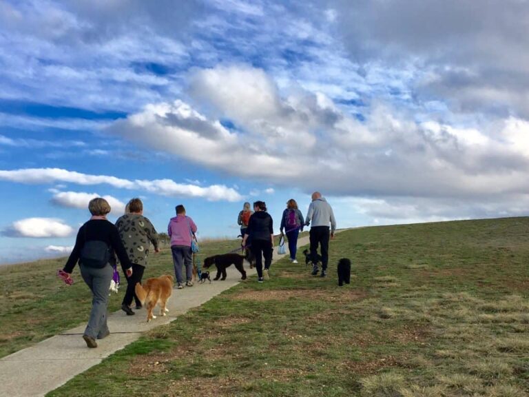 Ngunnawal Walk 768x576