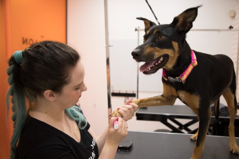 The Fur Salon Pawdicure1 768x512