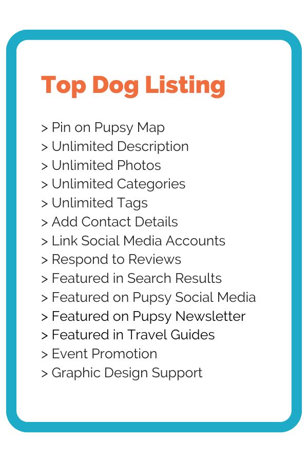 Top Dog Listing Image 600*900
