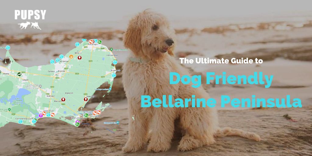 dog-friendly-bellarine-peninsula