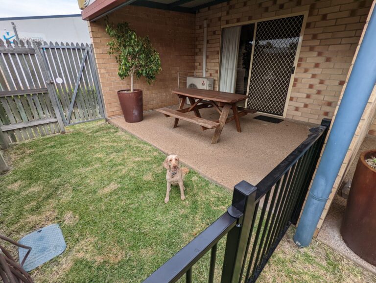 Emerald RV Campground Dog Friendly Camping in Emerald Pupsy