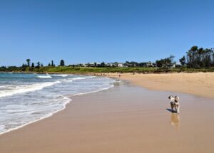 PXL 20221106 0142526892 300x215