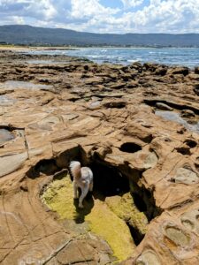 PXL 20221106 0224585832 225x300