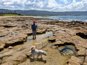 PXL 20221106 0225460092 300x225