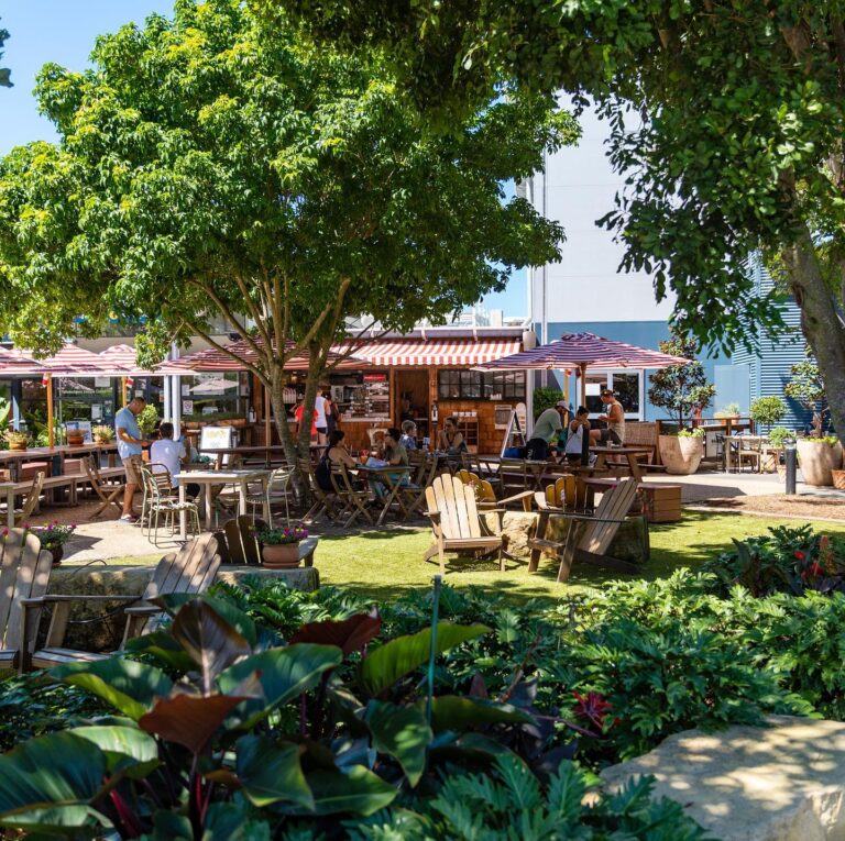 Custard Canteen 4 768x765