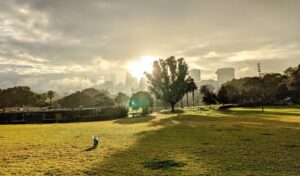 PXL 20210628 2147075342 300x176