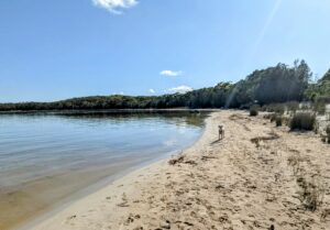 PXL 20221202 2151370753 300x209