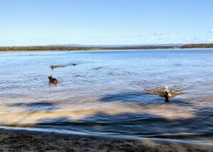 PXL 20221202 2205570922 300x215