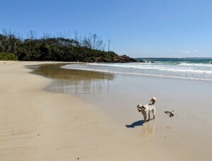 PXL 20221203 2313250832 300x228