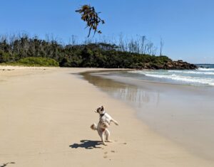 PXL 20221203 2314002252 300x235