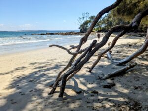 PXL 20221203 2334598892 300x225