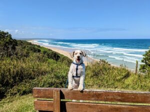 PXL 20221229 0450561612 300x225