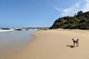 PXL 20221229 0502200712 300x200