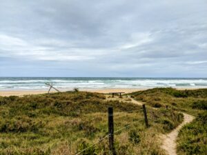 PXL 20221230 0405291992 300x225