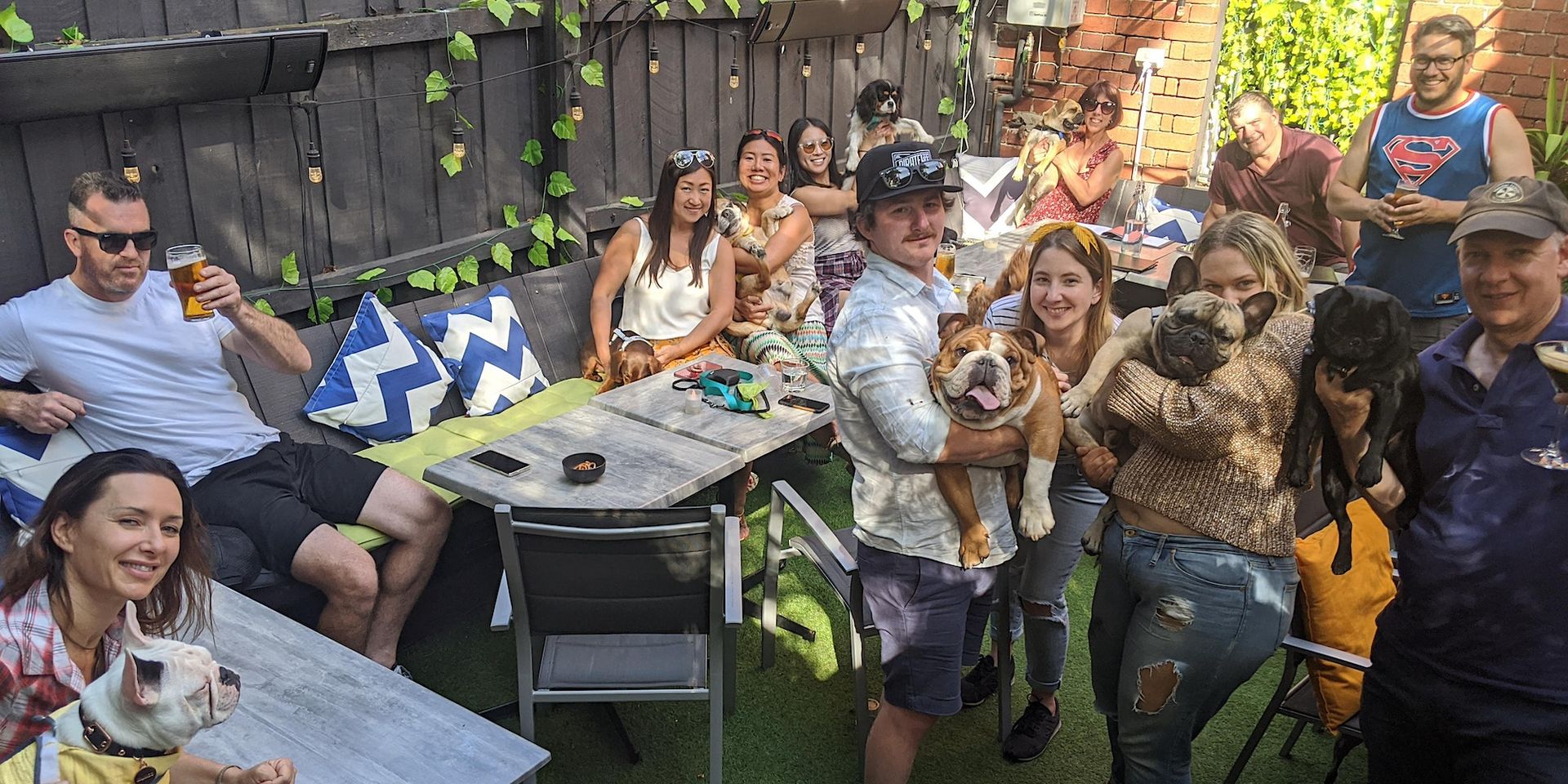 Puppy Pub Crawl South Melbourne