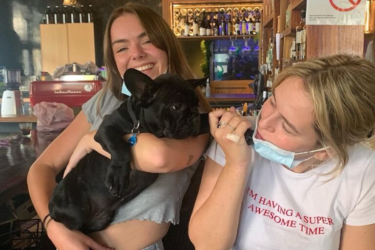 The Rose Hotel 1 96 768x512