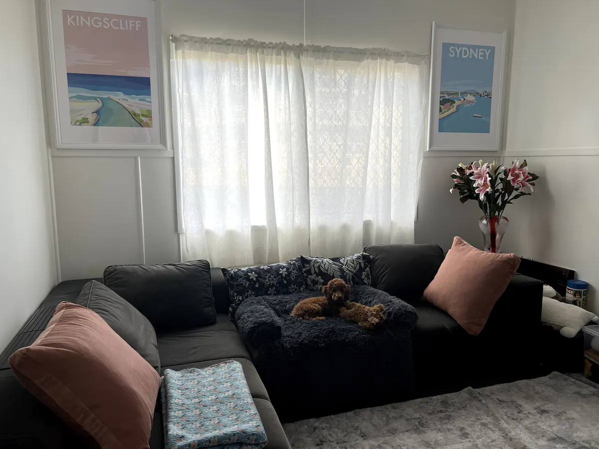beach house dog friendly accommodation 101