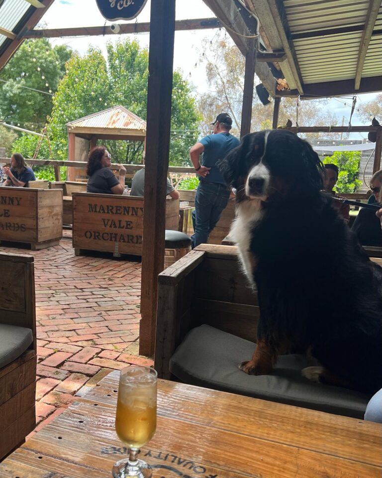 Cheeky Grog Co 1 768x960