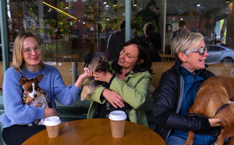 Little Evie 4 768x477