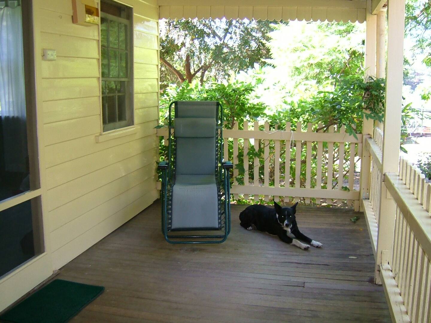 hermitage cottage dog friendly accommodation 45