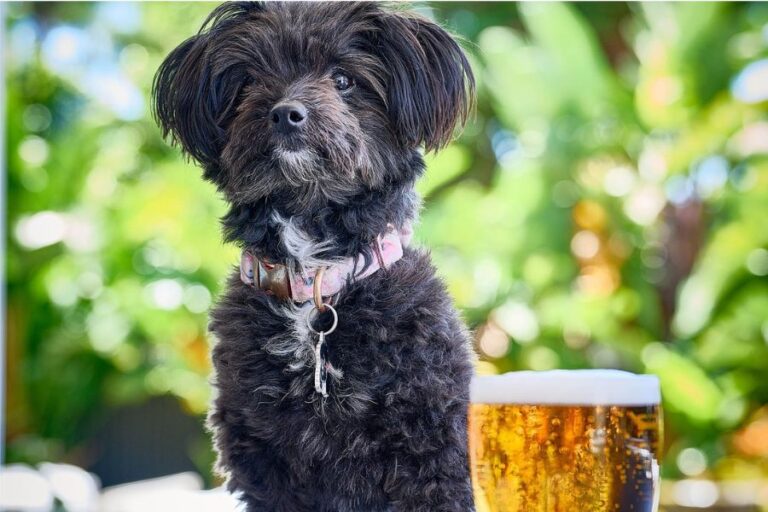 Orana Hotel 10 96 768x512