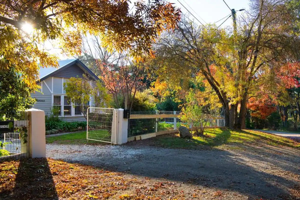 Dog friendly in Daylesford, Victoria!