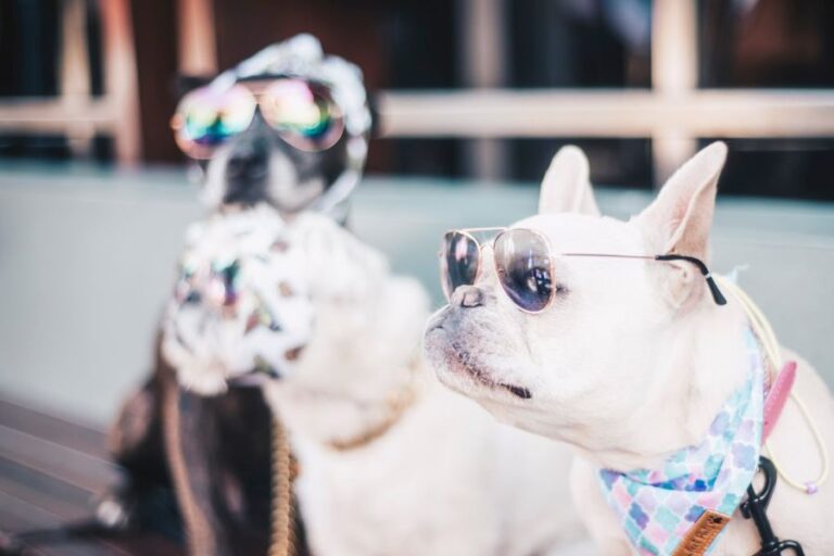 Albion Parramatta 96 4 768x512