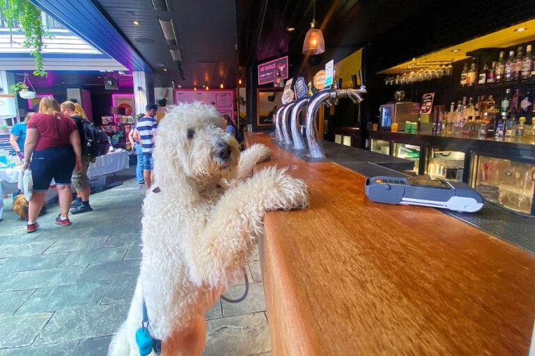 Bank Hotel 4 96 768x512