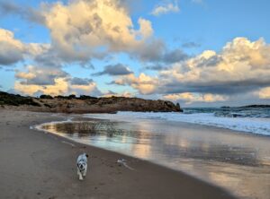 PXL 20230506 0739458512 300x222