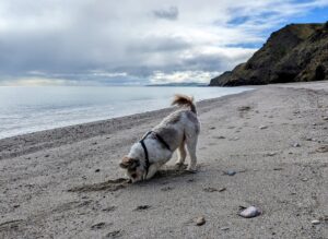 PXL 20230509 0112191222 300x219