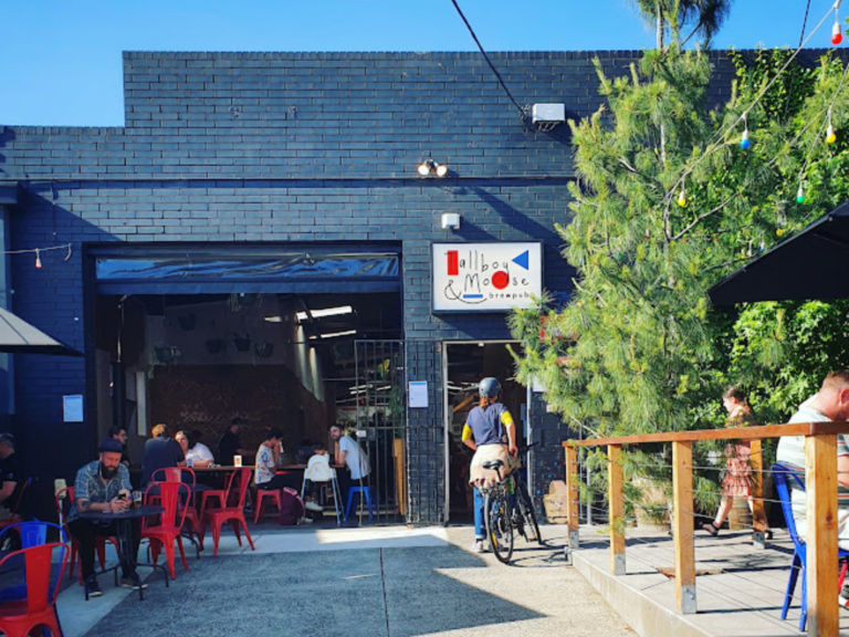 Tallboy Moose 1 768x576