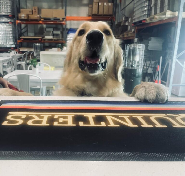 Squinters Brewing 1 768x728