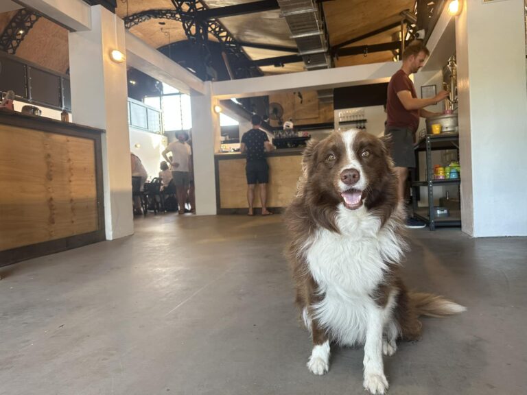 Archer Brewing 1 768x576