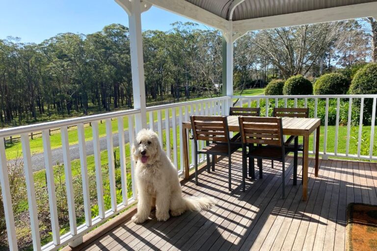 Bellevue Cottage Lumi 2 768x512