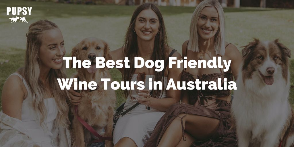 Dog Friendly Wine Tours