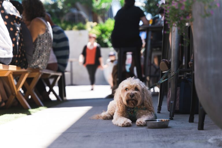 Revel Brewing 20 768x512