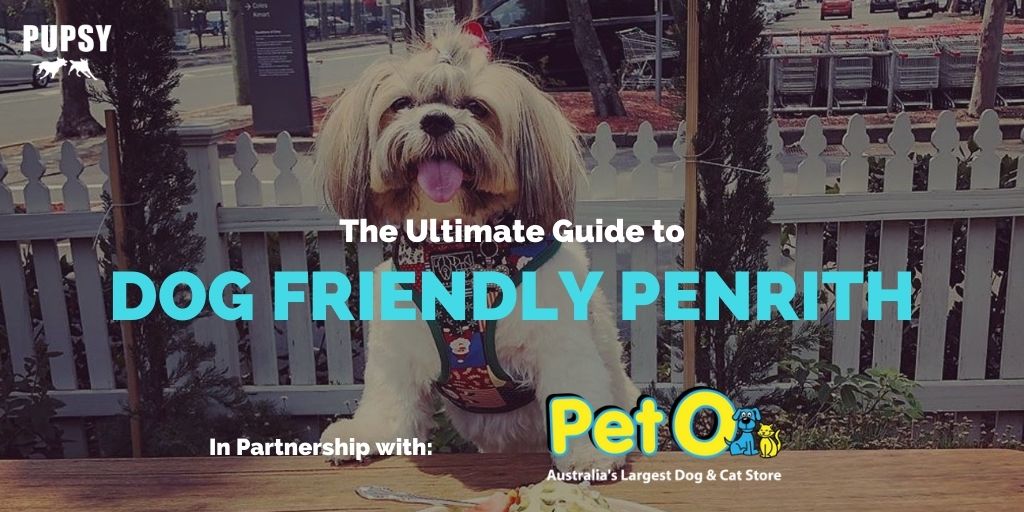 dog-friendly-penrith