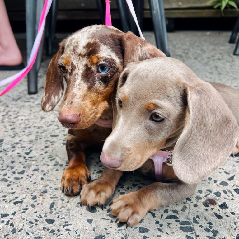 Farm House Kedron 4 768x768