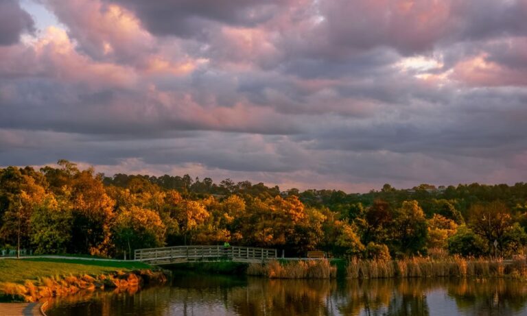 Lilydale Lake 106 1 768x461