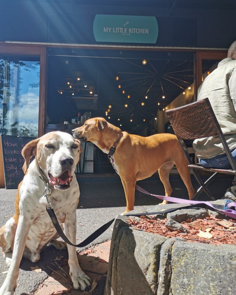 MY Little Kitchen 1 768x960