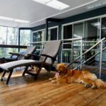 serenity in pindimar new dog friendly accommodation 41 150x150