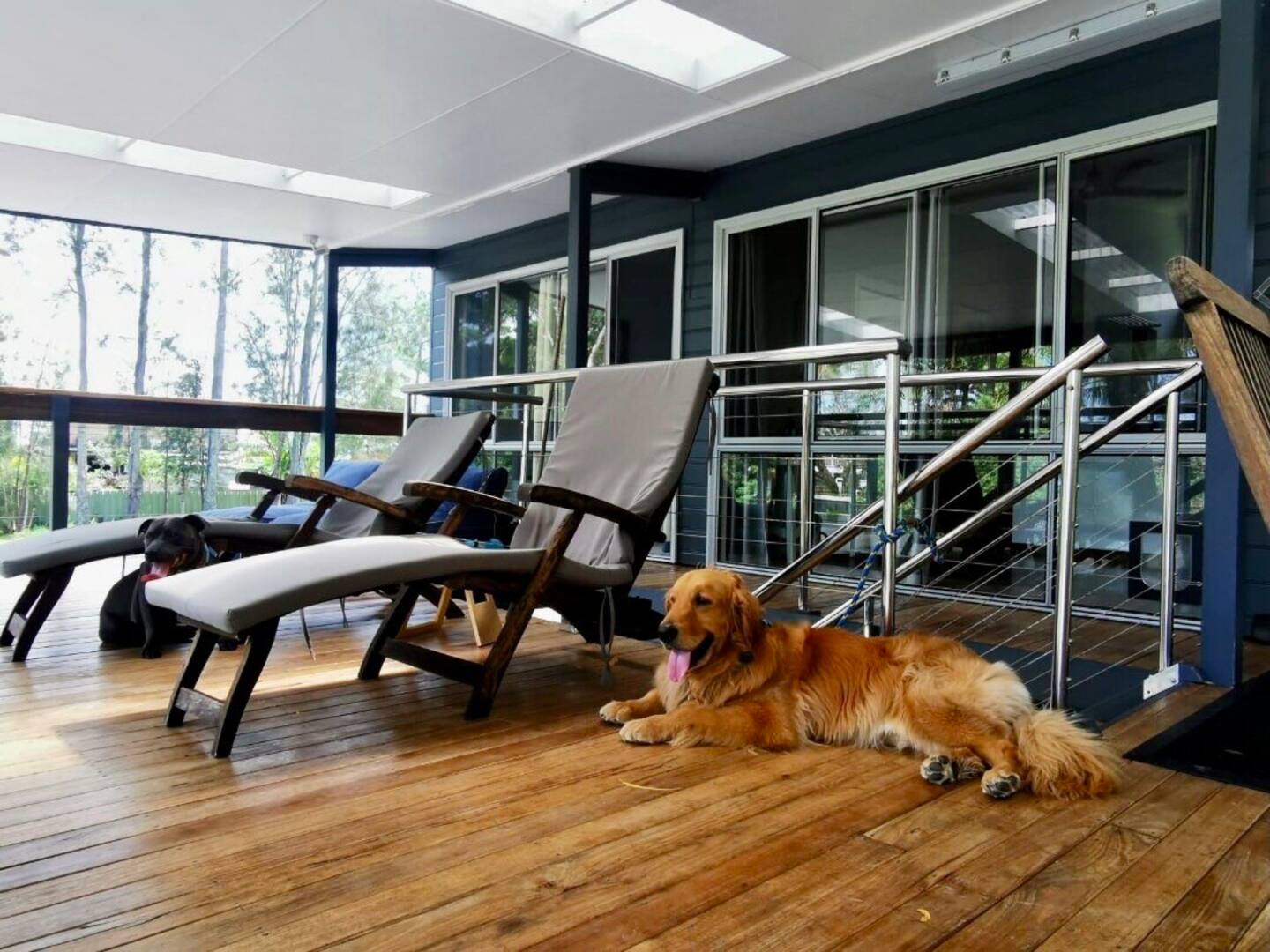 serenity in pindimar new dog friendly accommodation 41