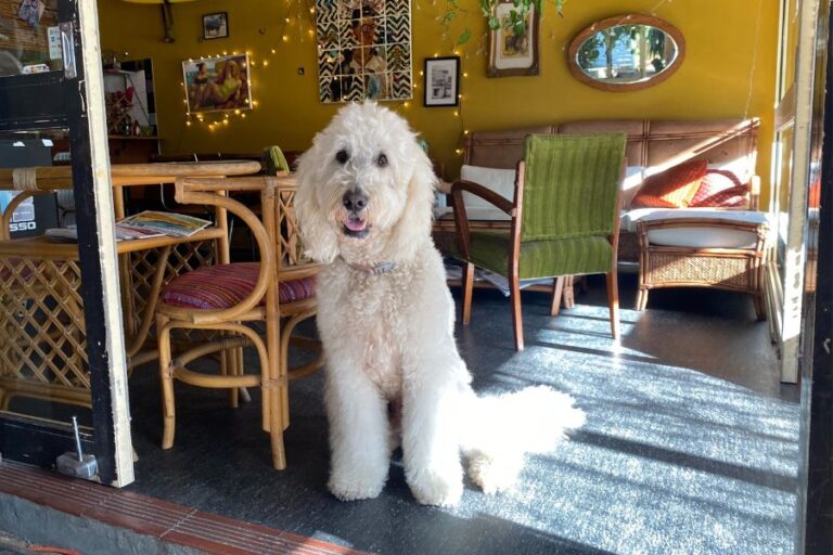 Cranzgots 1 2 768x512