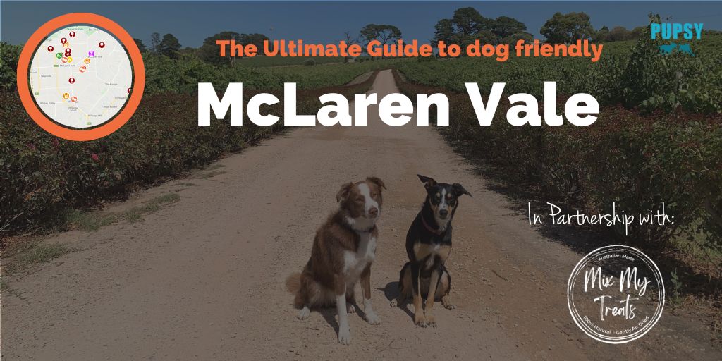 dog-friendly-mclaren-vale-mixmytreats