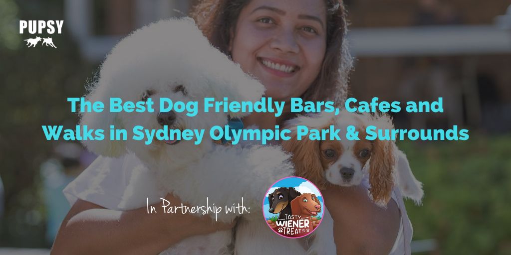 dog-friendly-olympic-park