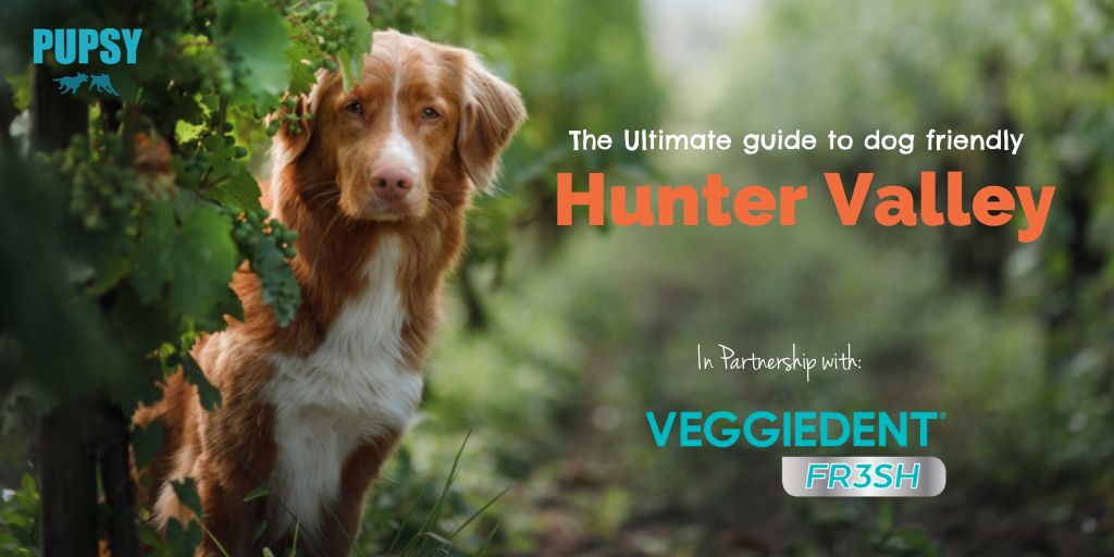 dog-friendly-hunter-valley-veggiendent