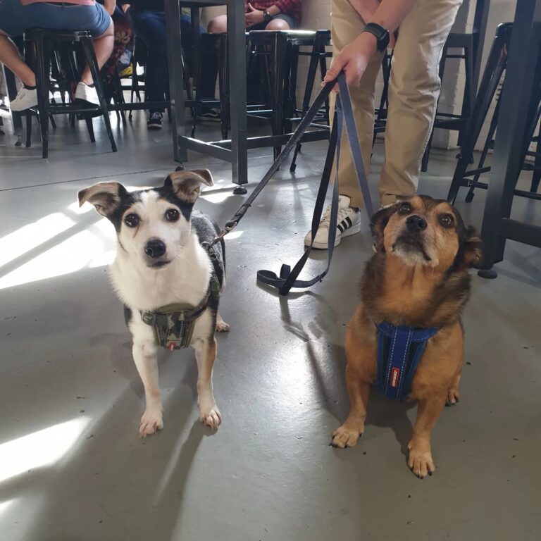 2 Halfs Brewing 3 768x768