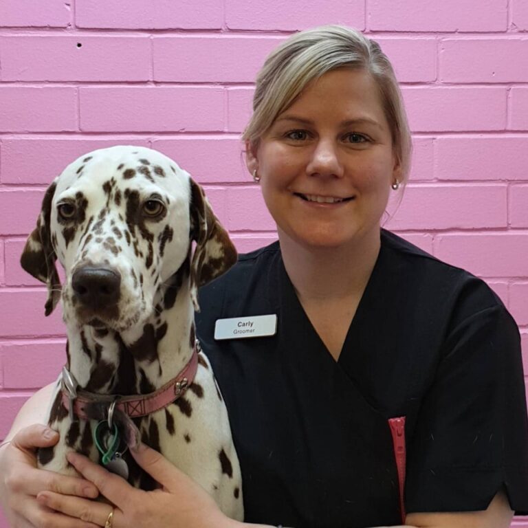 Carlys Pampered Pets 768x768