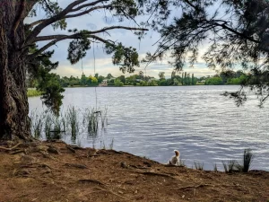 IMG 20221228 123424 947 300x225