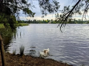 IMG 20221228 123427 552 300x225